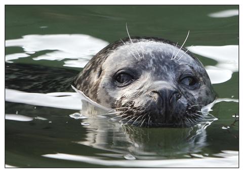 _MG_3558 Kopie_klein.jpg